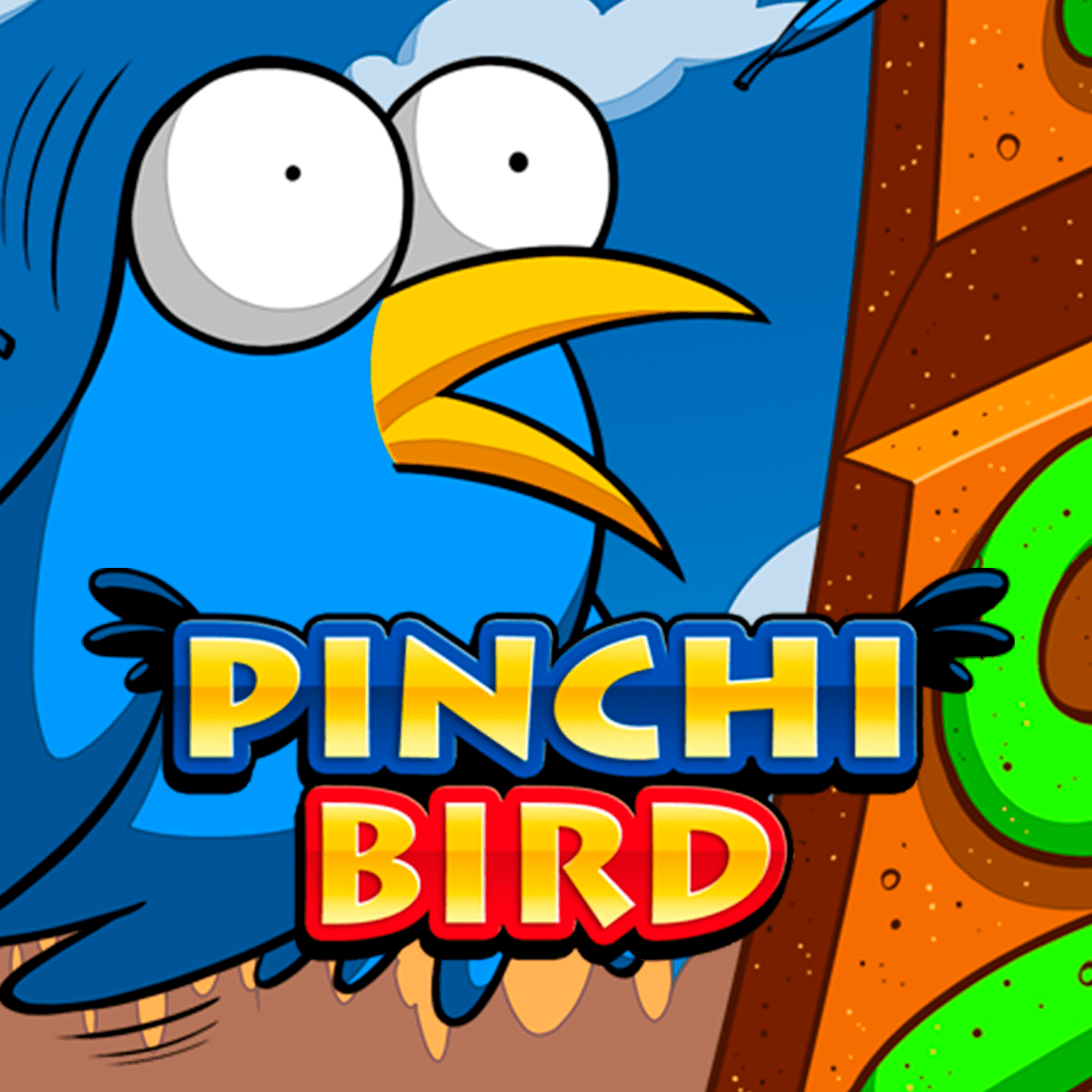 curso pinchi bird
